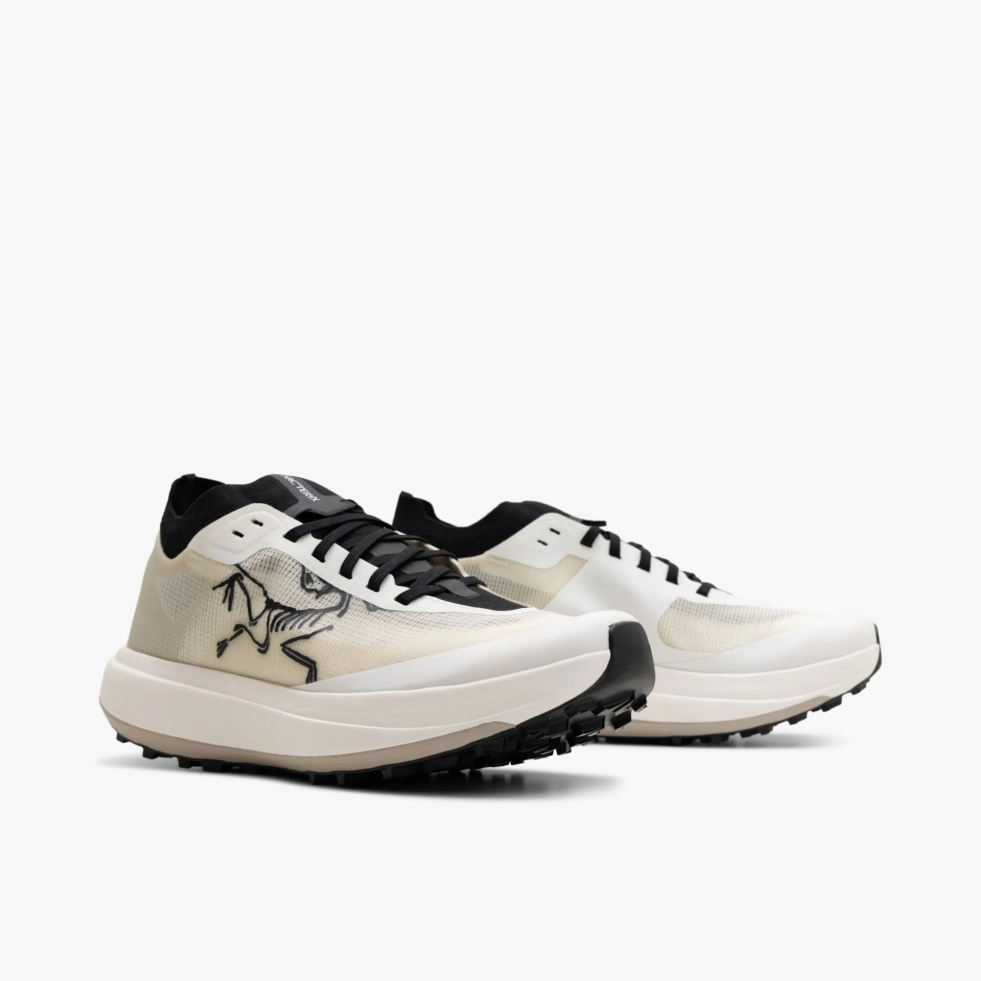 Arc'teryx Sylan Pro Arctic Silk / Arctic Silk