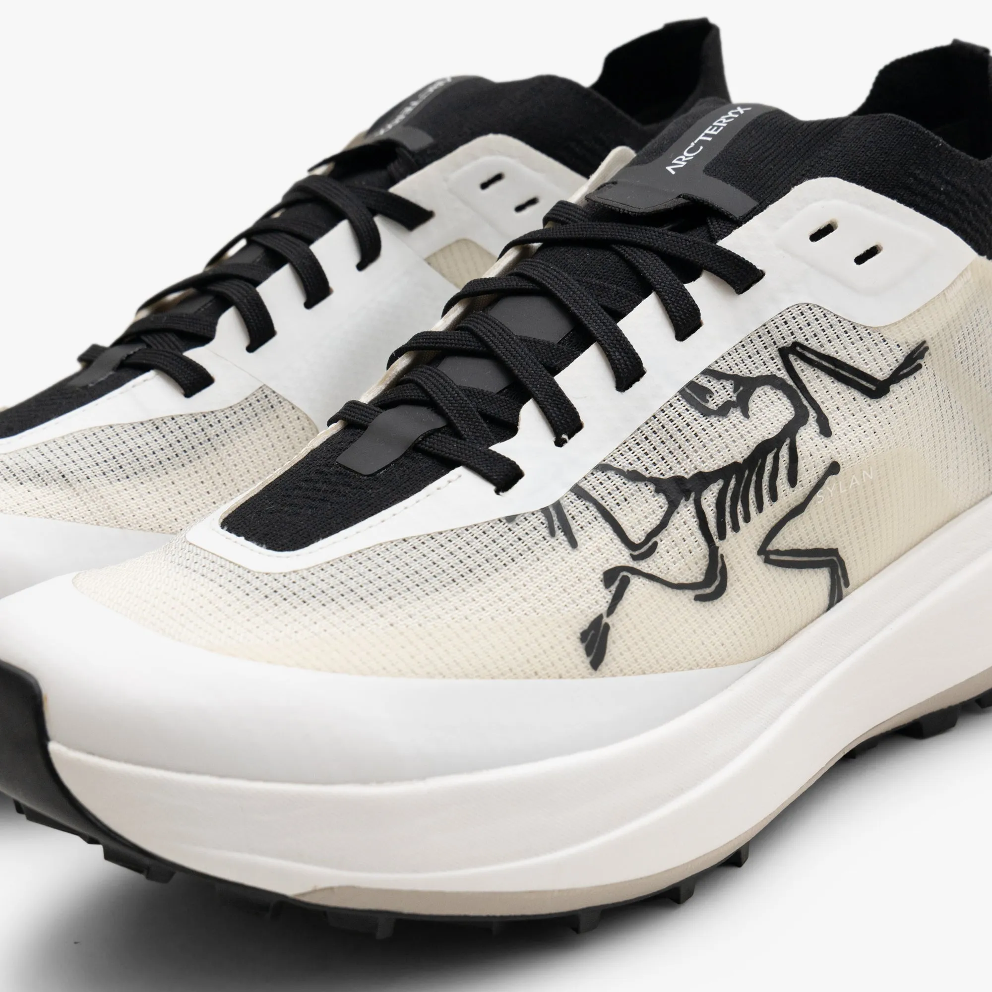 Arc'teryx Sylan Pro Arctic Silk / Arctic Silk