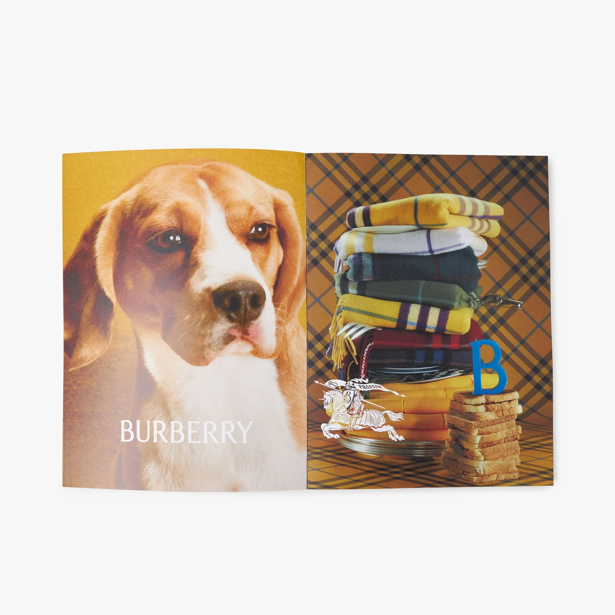 Bully Magazine Issue Two / Two Beam Cover