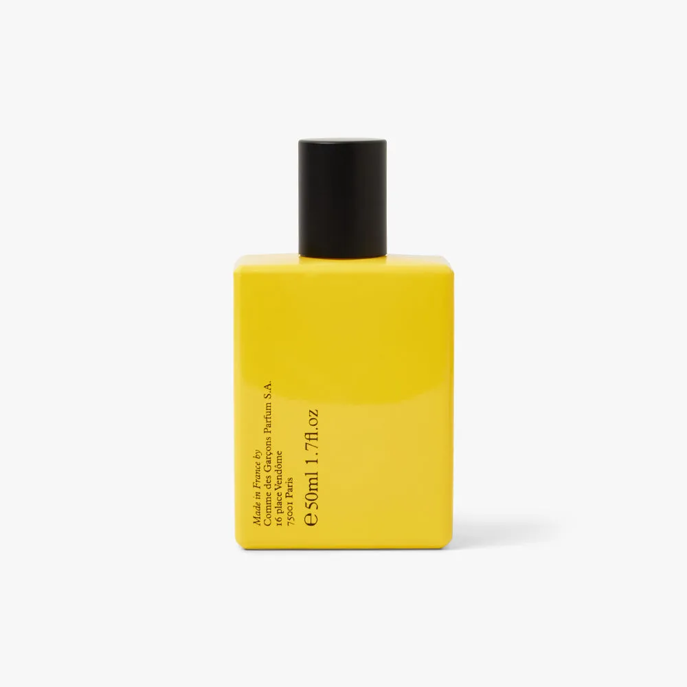 COMME des GARÇONS PARFUM Monocle Scent 3 Sugi / 50ml